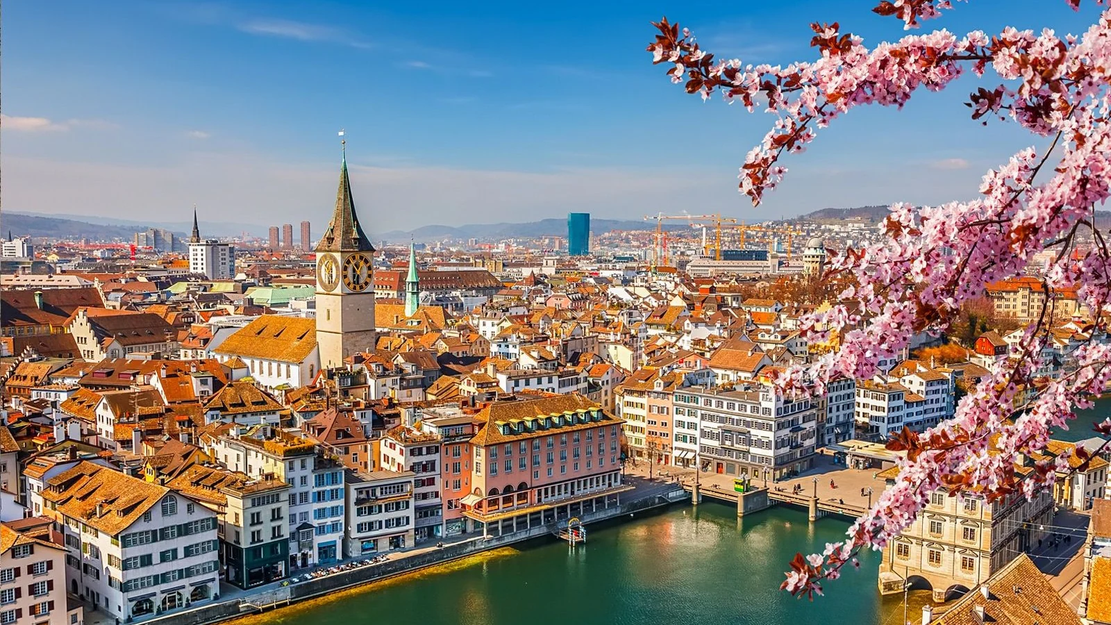 Zurich Old Town and the Limmat framed by spring blossom